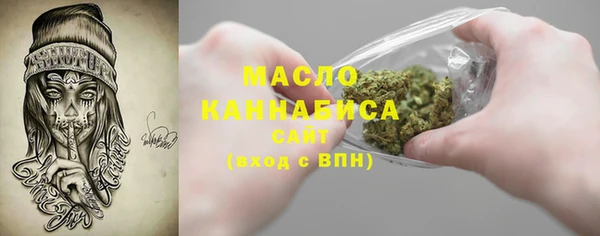 индика Балабаново